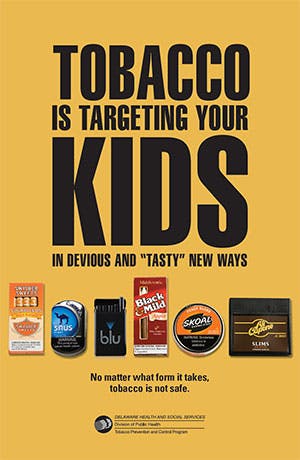 The Ugly Truth Brochure